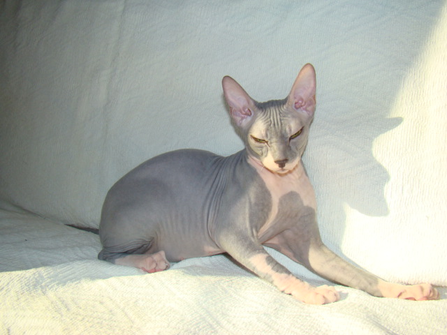 dsc07182