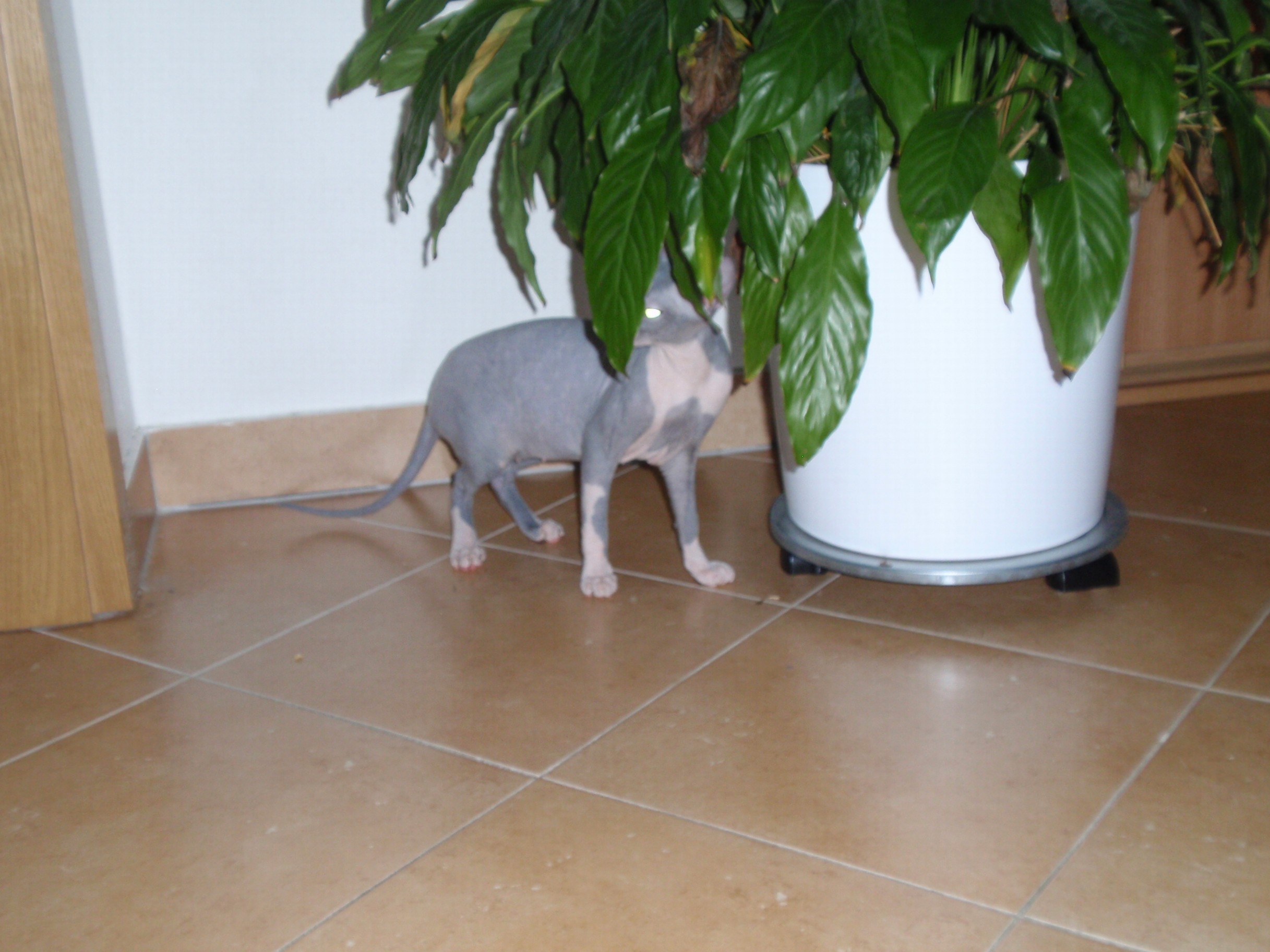 p8130143
