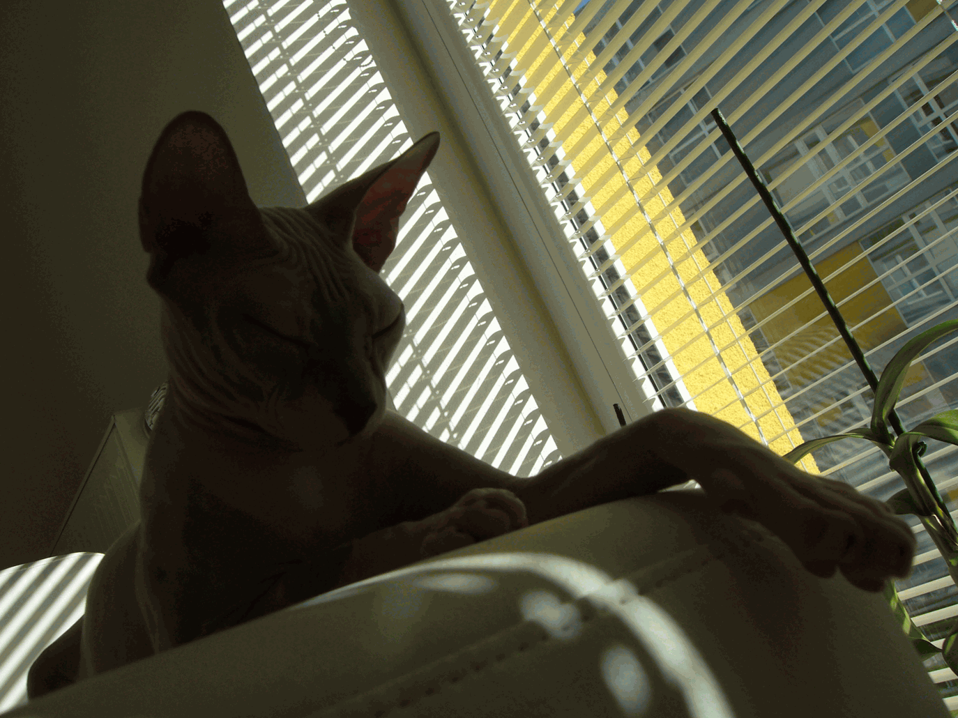 P1010904