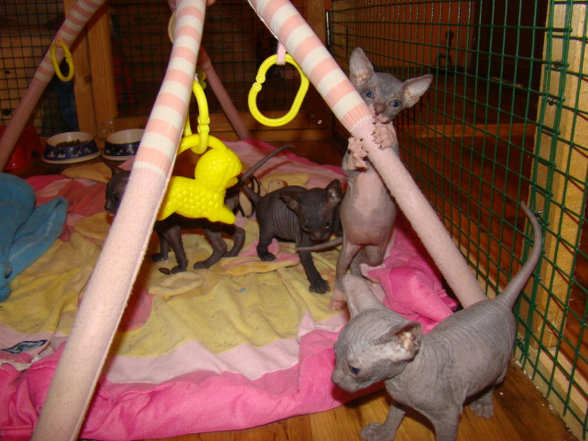 dsc06300