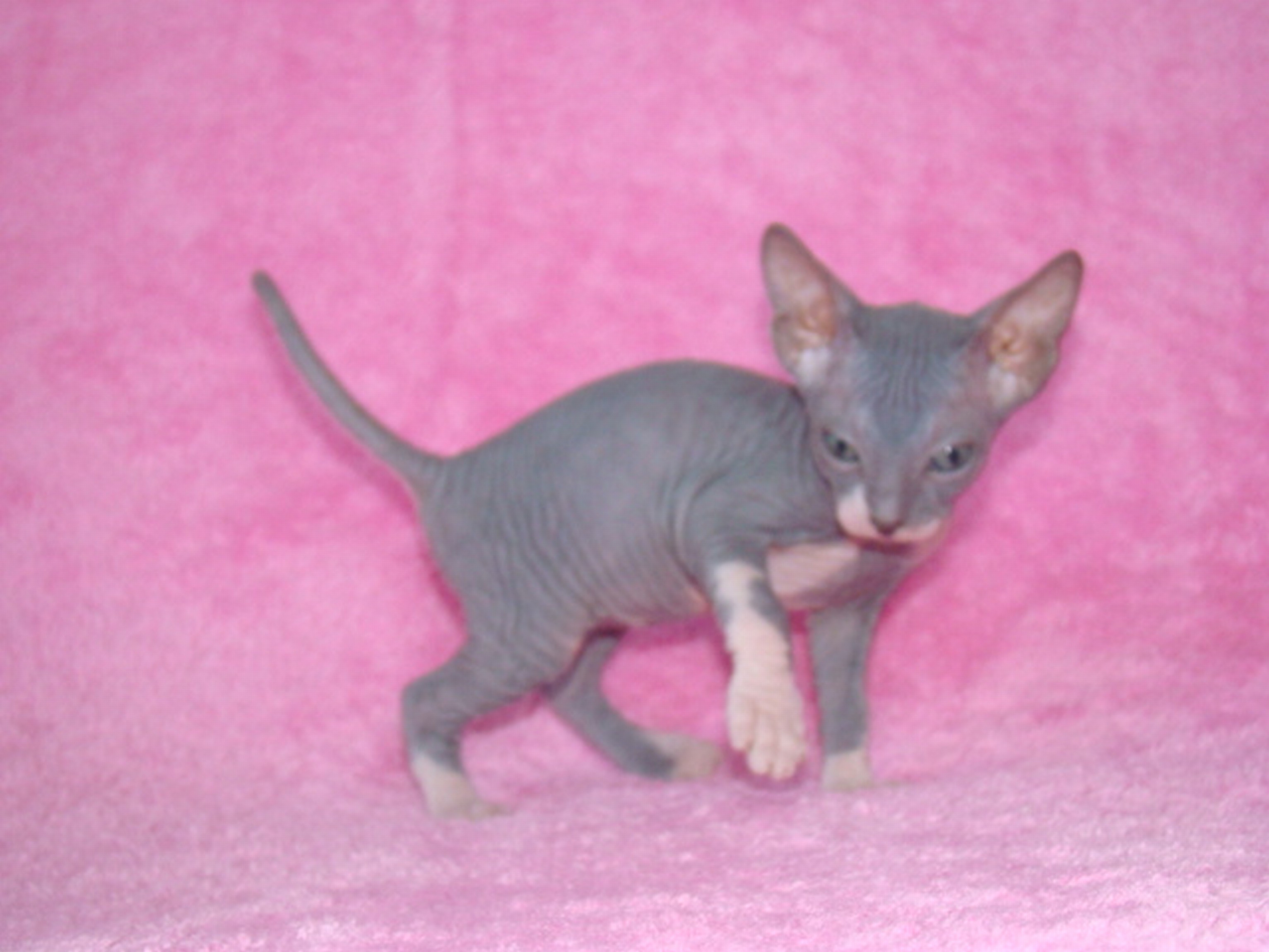 dsc06656