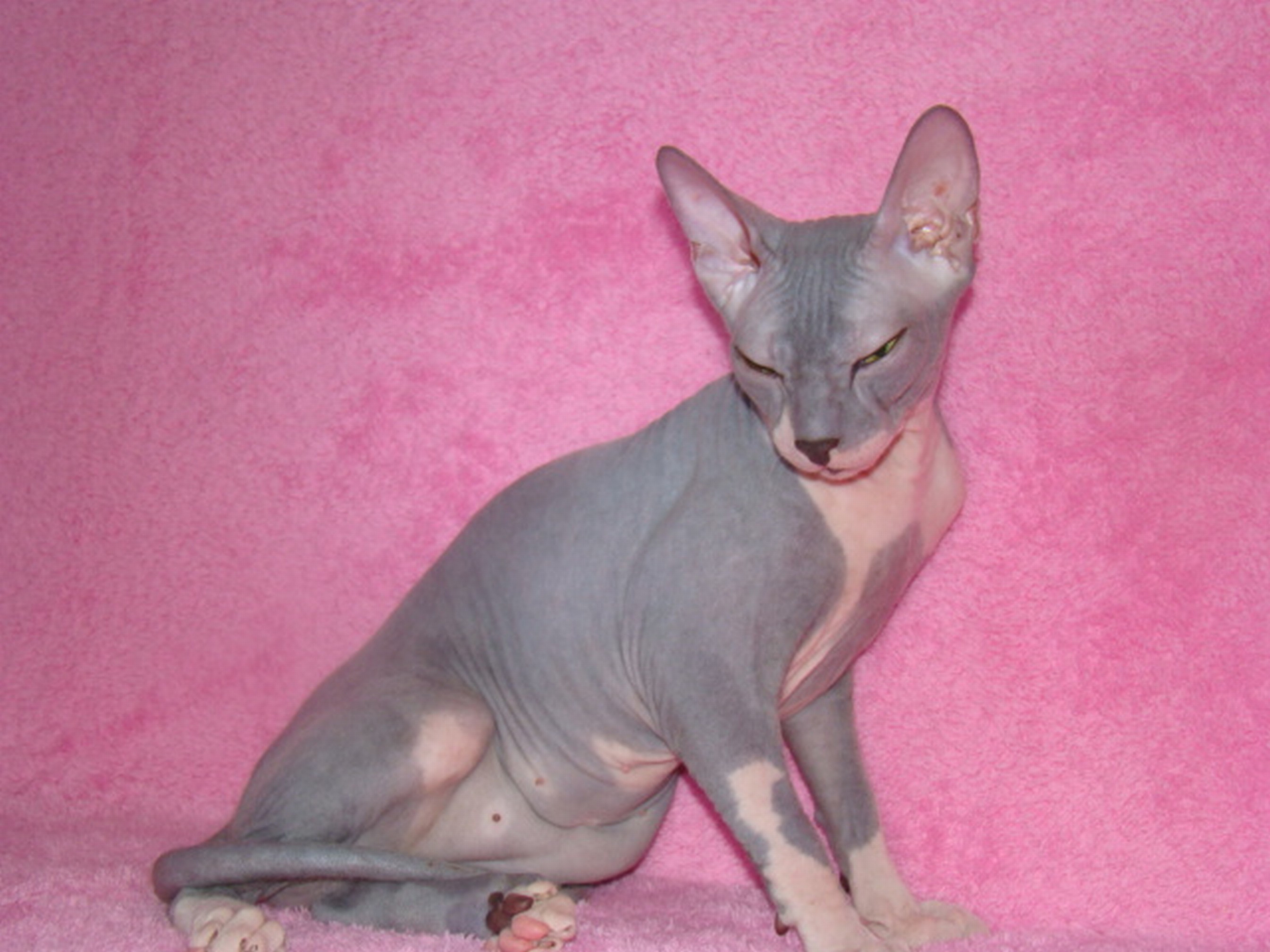 dsc07357