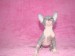 dsc06670